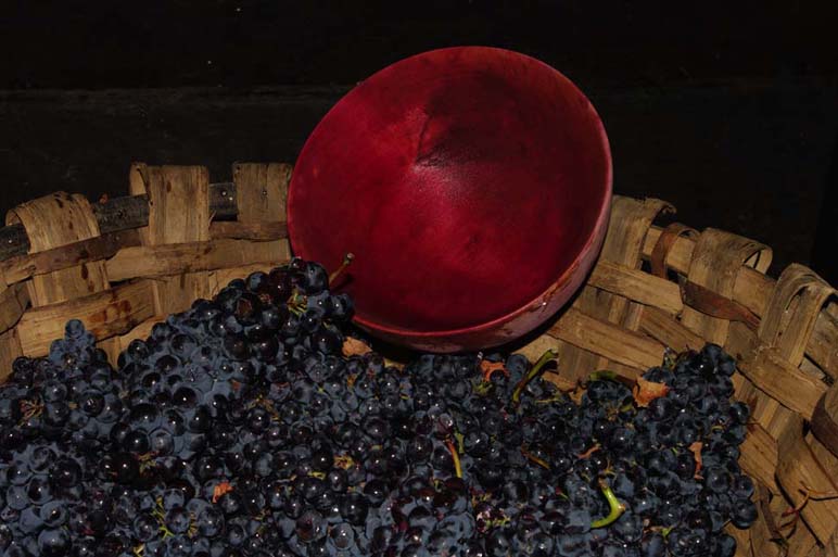 Uva de Pesoz - Se abre en ventana nueva